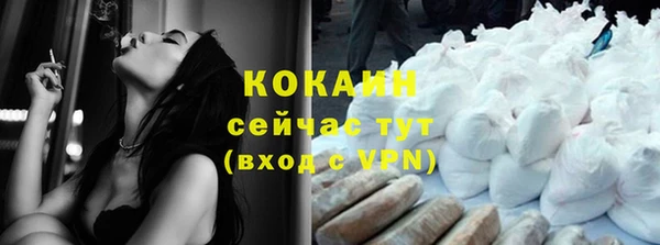 крисы Сатка